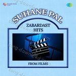Suhane Pal - Zabardast Hits From Film - Anwar Song Download